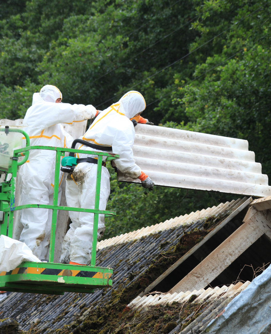 Birds Cause Man S Death By Pecking At Asbestos Roof Asbestos Education Company